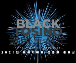 Read more about the article 2024년 토토사이트 검증